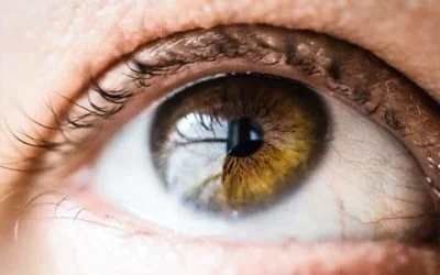 Bindehautentzündung – Symptome, Behandlung und Vorsorge